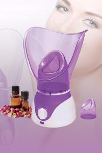 Hamilton Facial Steamer HT412