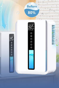 Portable Dehumidifier