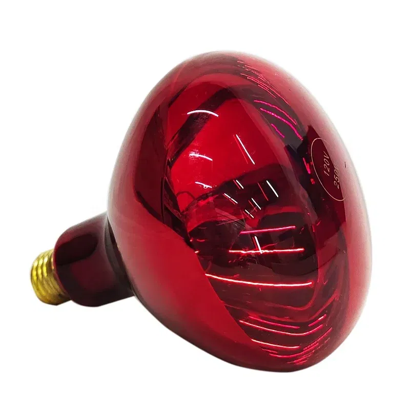 Heating Lamp