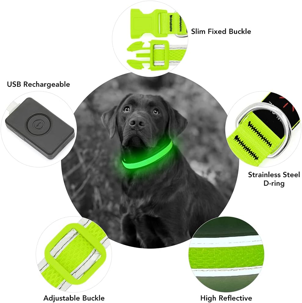 YFbrite Light Up Dog Collar
