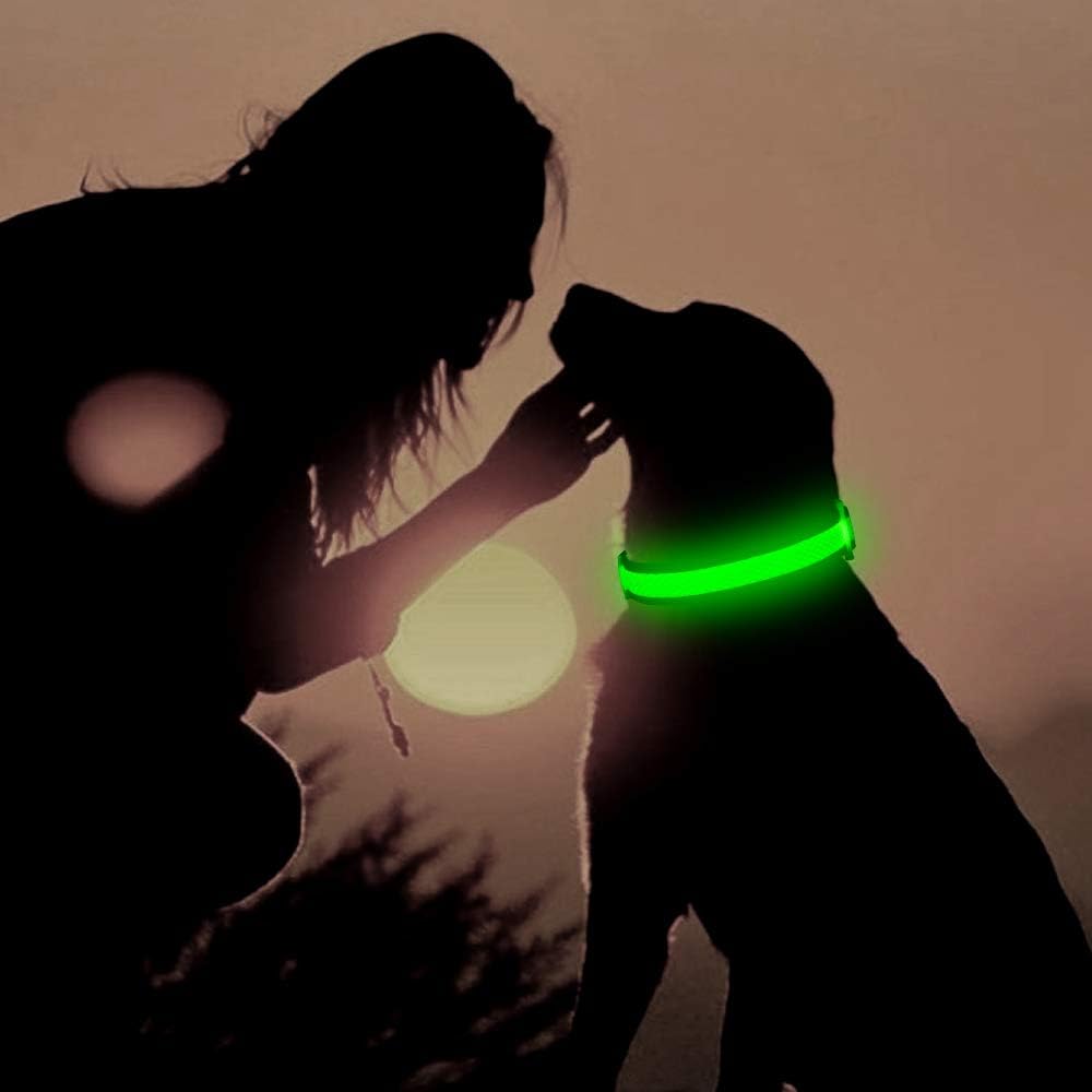YFbrite Light Up Dog Collar