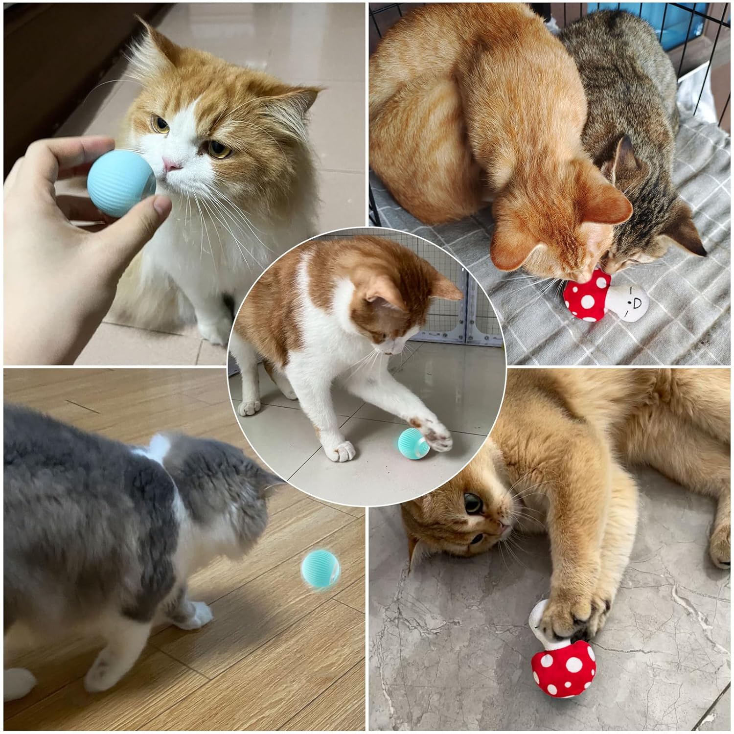 Interactive Cat Ball Toy