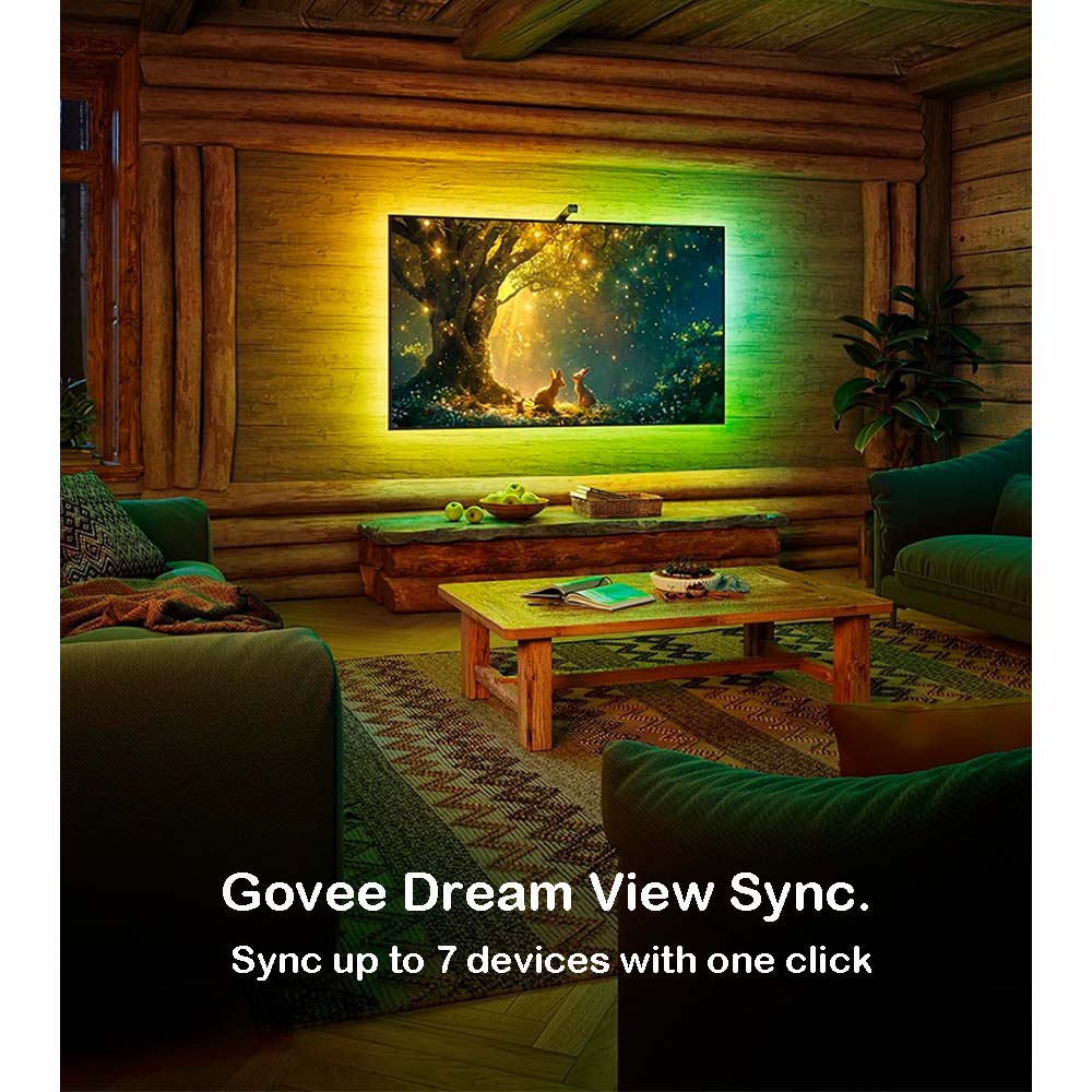 Govee TV Backlight 3 Lite