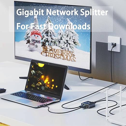 LIEZHUA 1000Mbps Network Splitter With USB Power Cable