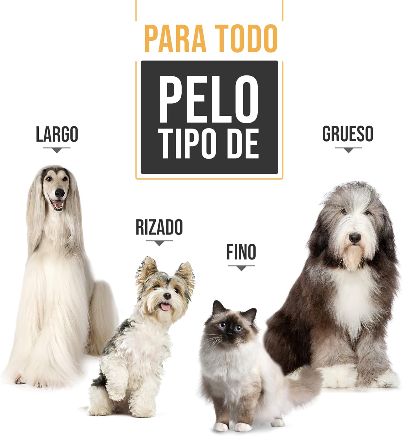 Professional Dog Hair Clipper