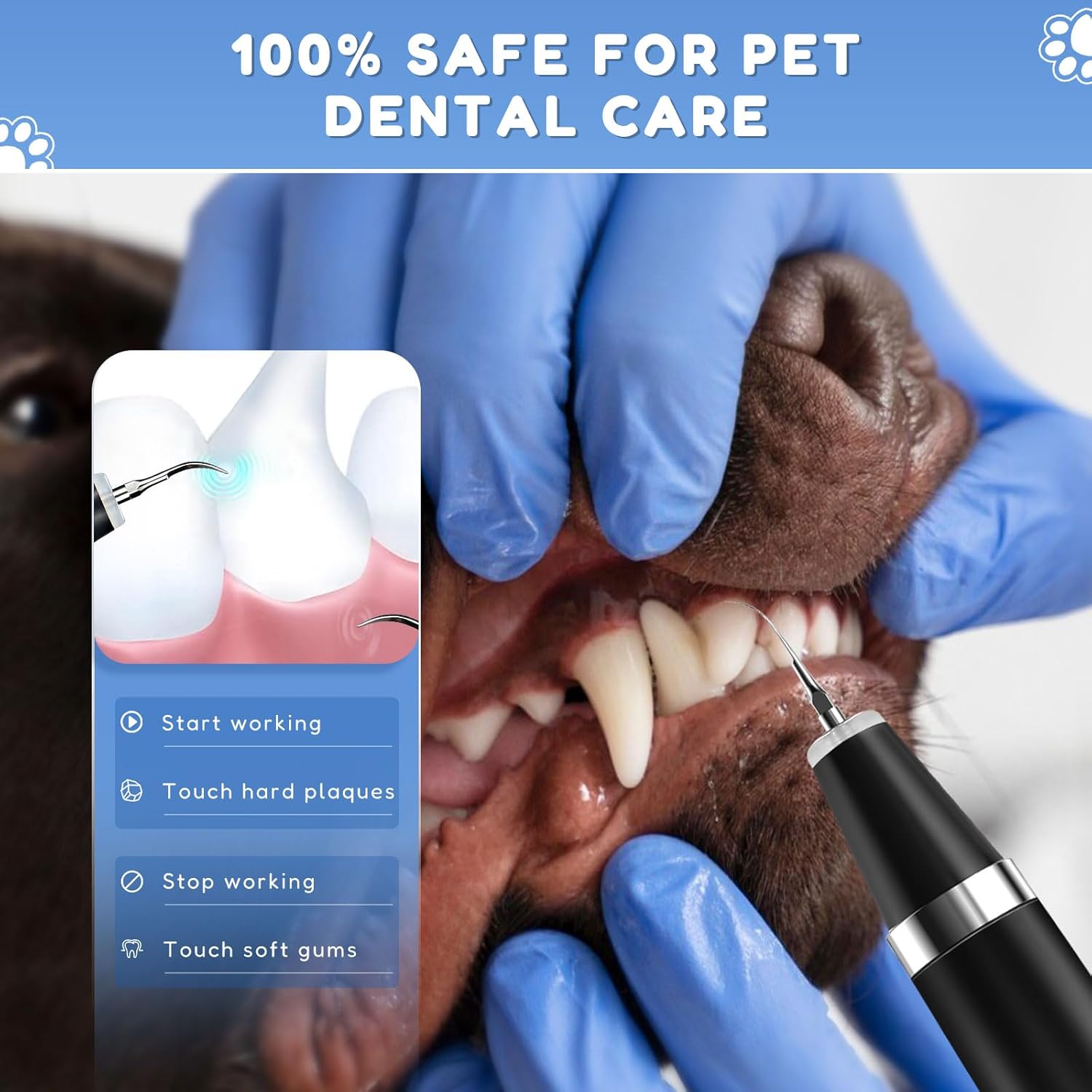 Animal Ultrasonic Toothbrush