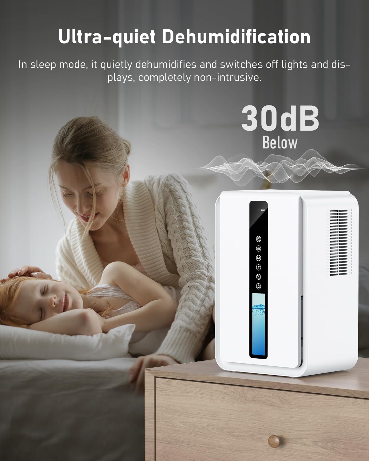 Portable Dehumidifier