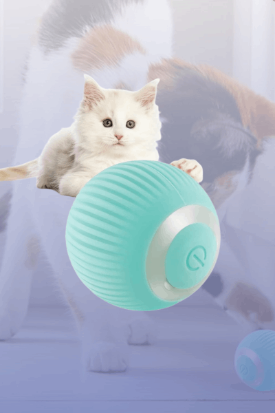 Interactive Cat Ball Toy